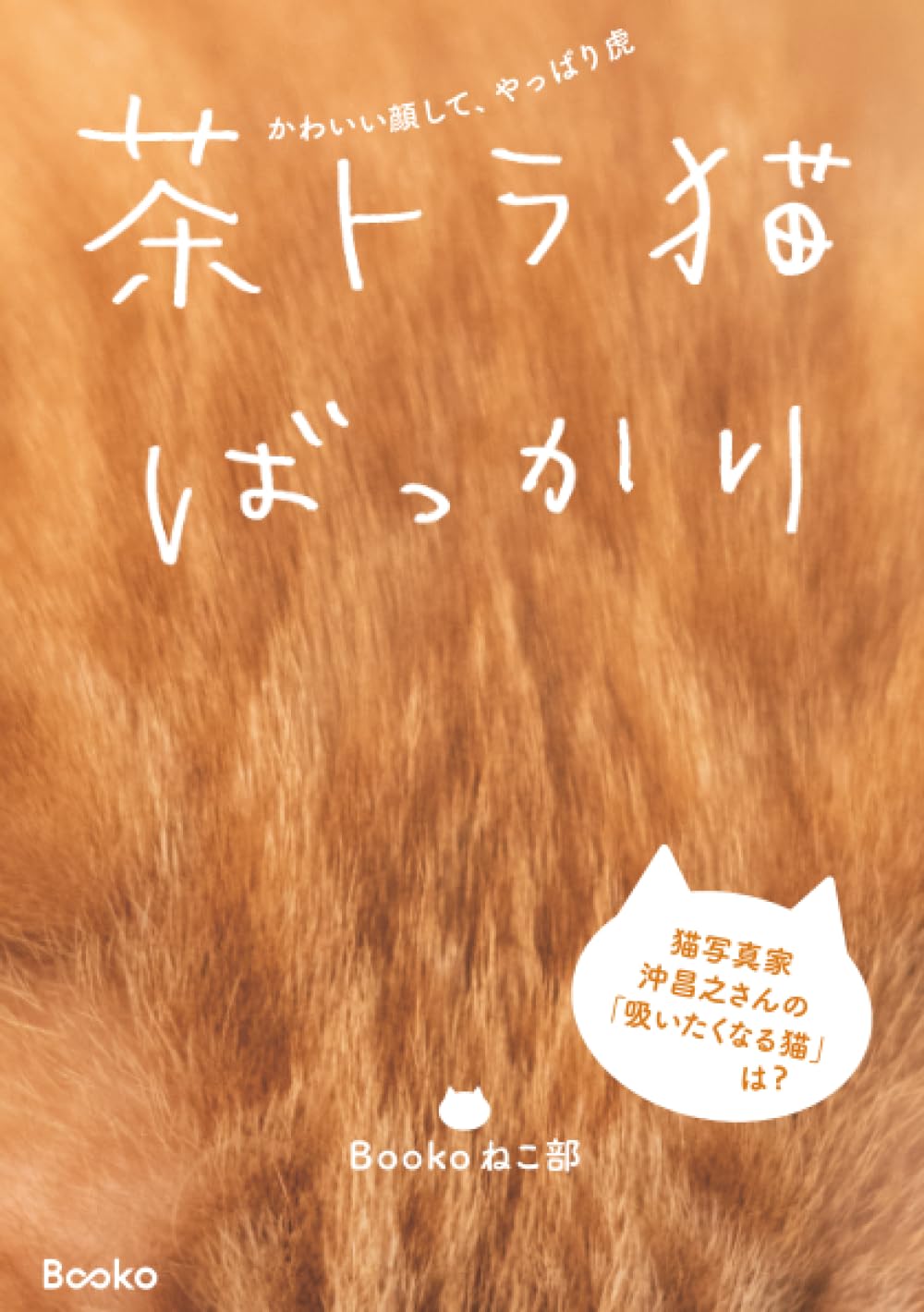 「茶トラ猫ばっかり」の表紙