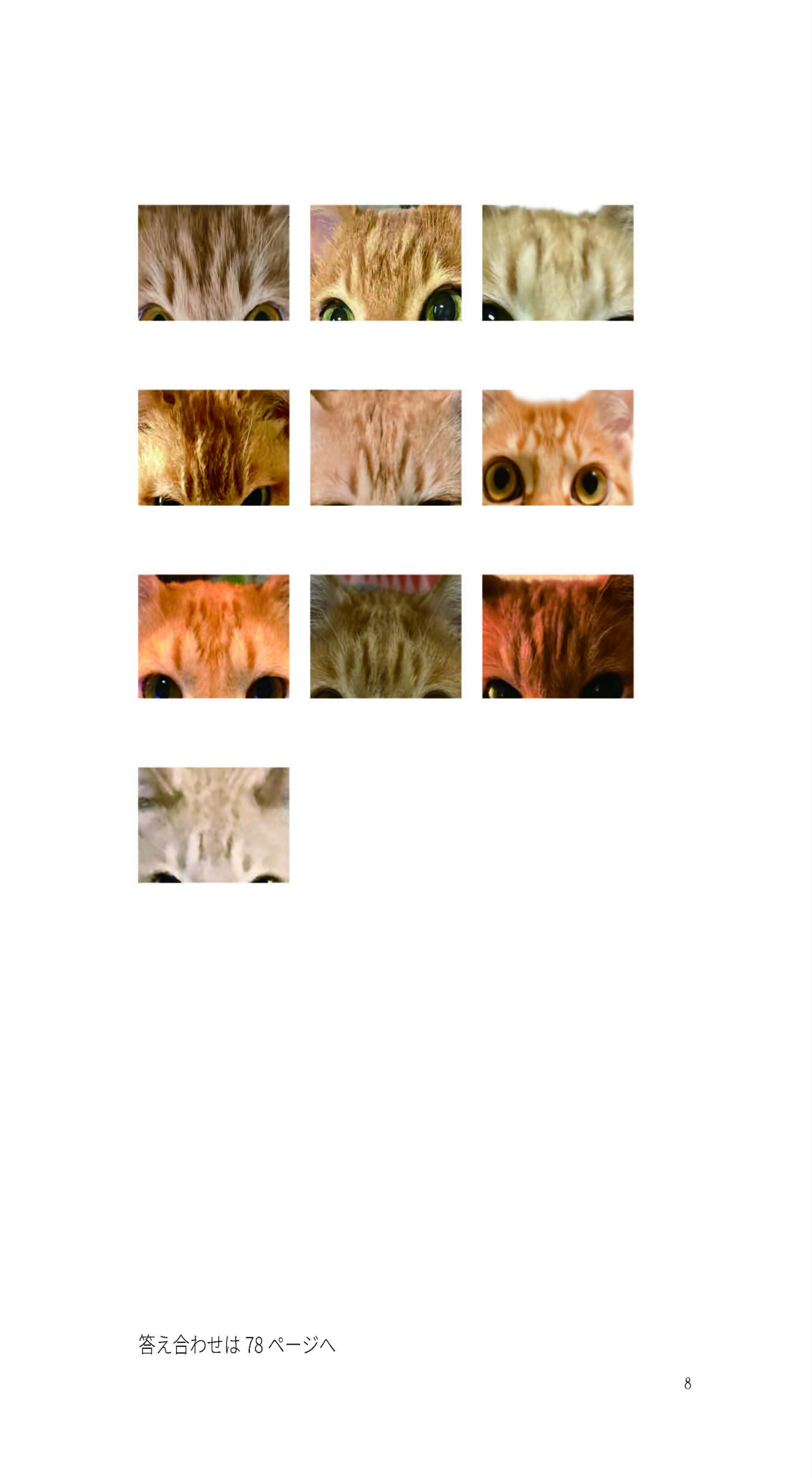 「茶トラ猫ばっかり」の本文サンプル