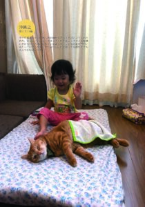 「茶トラ猫ばっかり」の本文サンプル